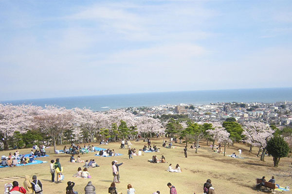 かみね公園頂上からの眺望