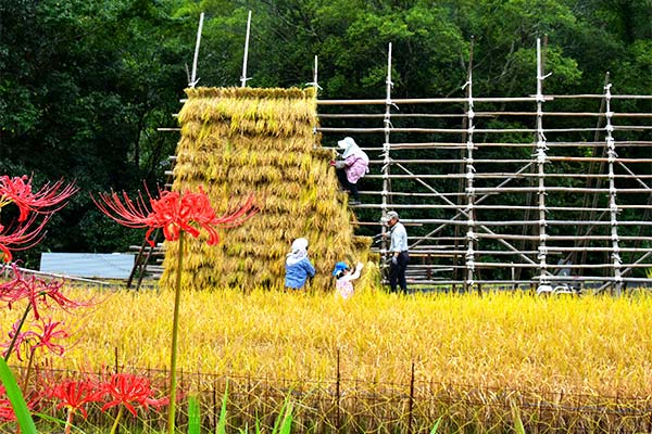 過疎地域における生物多様性の現状~里山を再生し、野生動物との共存を実現する~